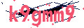Re-captcha